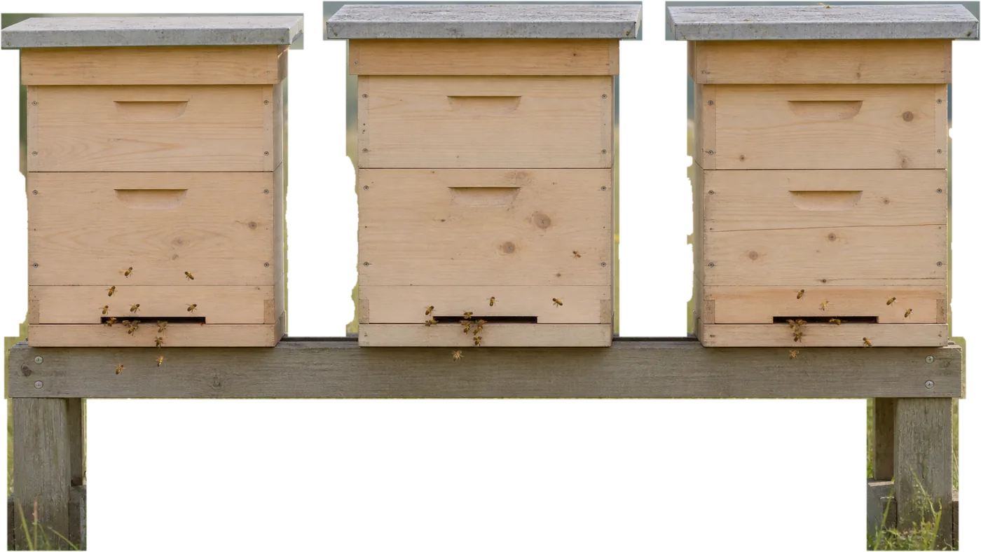 Drei Bienenbeuten aus hellem Holz auf einem Bock