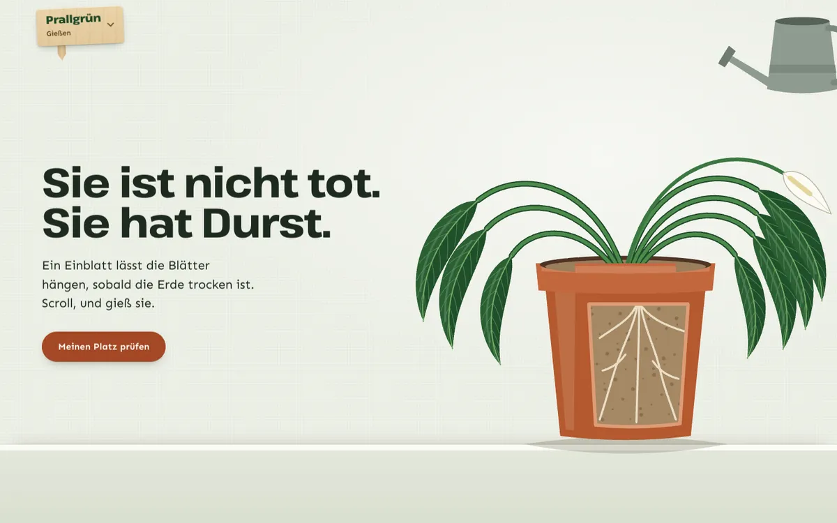 Startbild der Demo Prallgrün