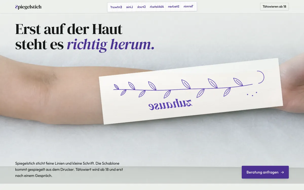 Startbild der Demo Spiegelstich